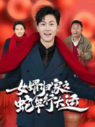 女婿归家之蛇年行大运在线观看