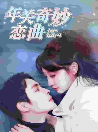 租个钻石男友回家过年在线观看