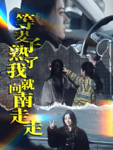 等麦子熟了我就向南走走在线观看