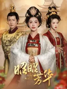 昭昭芳华在线观看