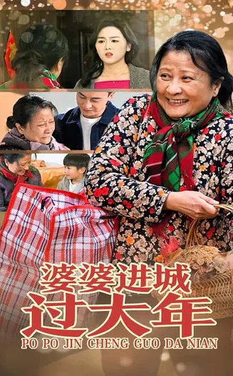 婆婆进城过大年在线观看