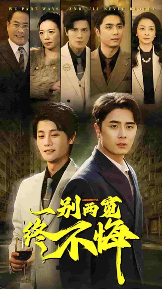 一别两宽终不悔在线观看