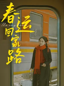 春运回家路在线观看