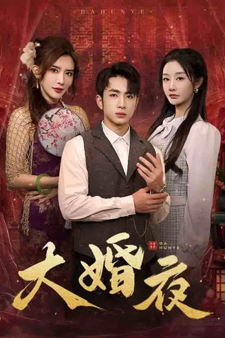 大婚夜在线观看