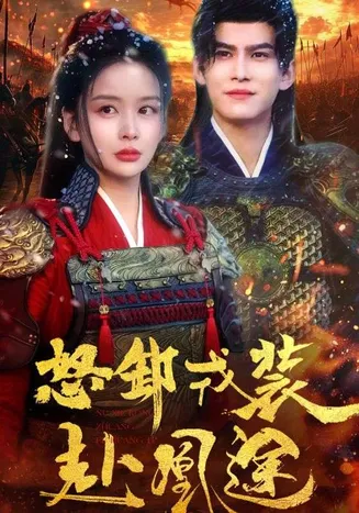 怒卸戎装赴凰途在线观看