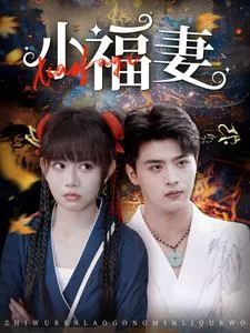 小福妻在线观看