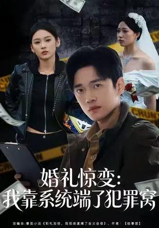 婚礼惊变:我靠系统端了犯罪窝在线观看