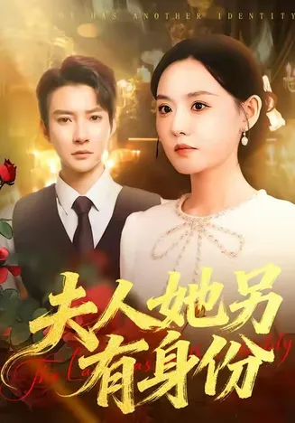 夫人她另有身份在线观看