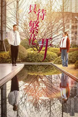 只待繁花开在线观看