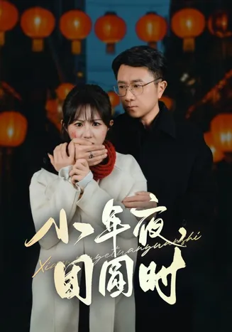 小年夜万家灯火没有我在线观看
