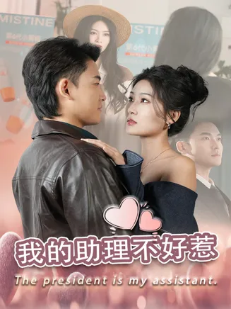 我的助理不好惹在线观看
