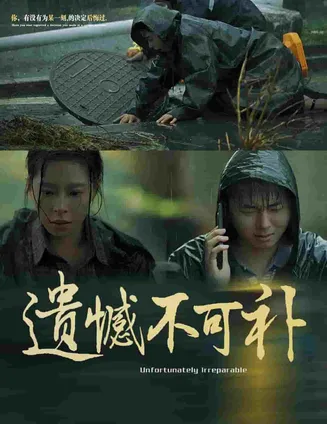 遗憾不可补在线观看