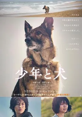 少年与犬在线观看