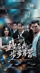重生后我步步为营在线观看