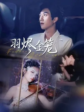 羽烬金笼在线观看