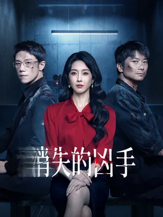 消失的凶手2025在线观看