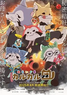 小浣熊在线观看
