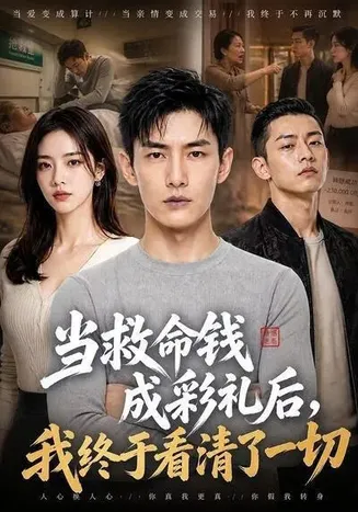当救命钱成彩礼后,我终于看清了一切在线观看