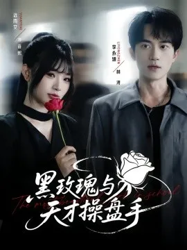 黑玫瑰与天才操盘手在线观看