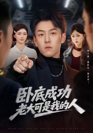 卧底成功老大可是我的人在线观看