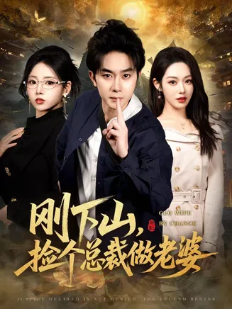 刚下山捡个总裁做老婆在线观看