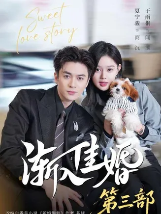渐入佳婚3在线观看