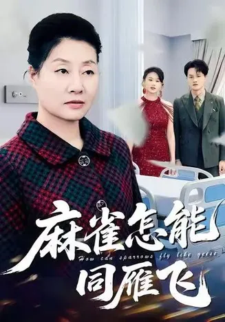 麻雀怎能同雁飞在线观看