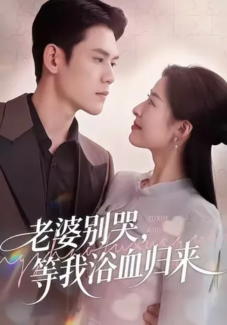 老婆别哭，等我浴血归来在线观看