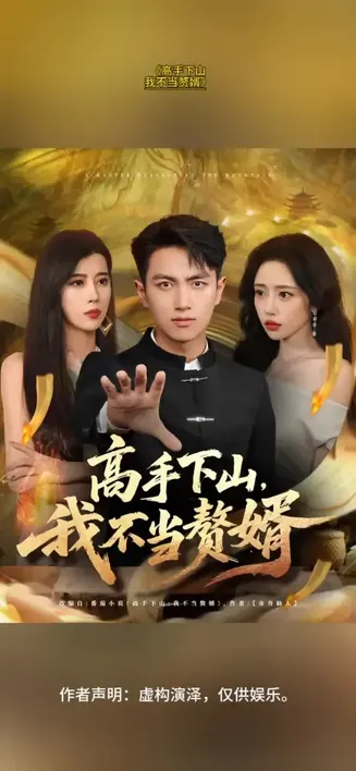 高手下山我不当赘婿在线观看