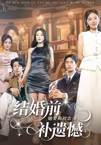 结婚前她要和初恋弥补遗憾在线观看