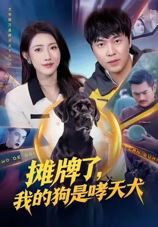 摊牌了,我的狗是哮天犬在线观看