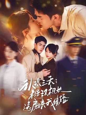 认识三天糙汉机长送房哄我结婚在线观看