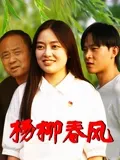 杨柳春风在线观看
