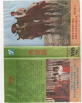 青龍鎮在线观看