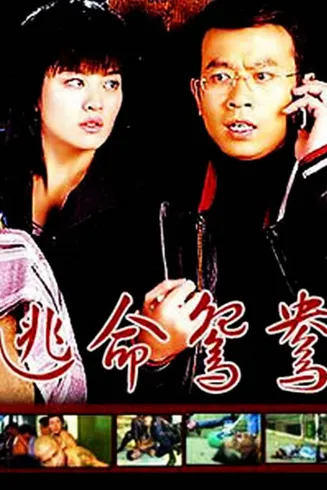 逃命鸳鸯在线观看