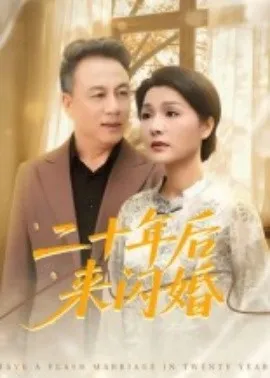 二十年后来闪婚在线观看