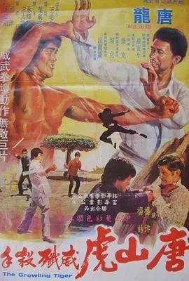 唐山虎威歼杀手在线观看