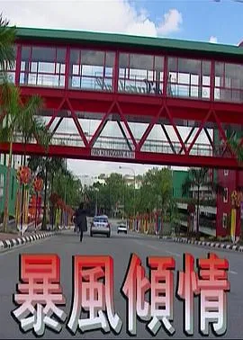 暴风倾情在线观看