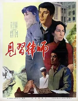 见习律师在线观看