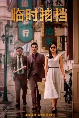 临时拍档在线观看