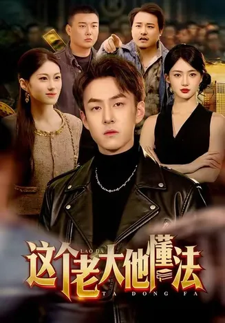 这个老大他懂法在线观看