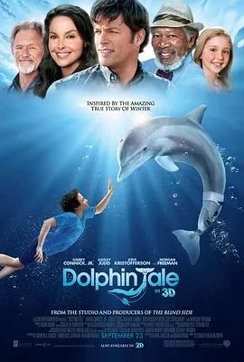 海豚的故事2011在线观看
