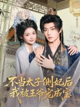不当太子侧妃后,我被王爷宠成宝在线观看