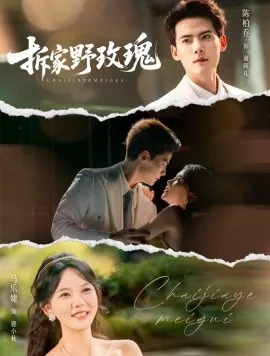 拆家野玫瑰在线观看