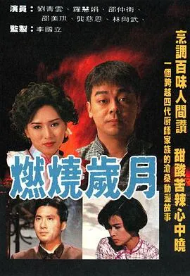 燃烧岁月国语在线观看