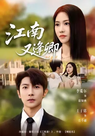 江南又逢卿在线观看