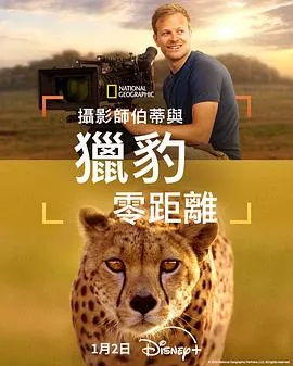 摄影师贝尔蒂与猎豹零距离在线观看