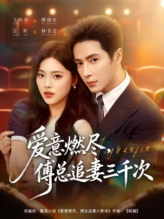 爱意燃尽,傅总追妻三千次在线观看