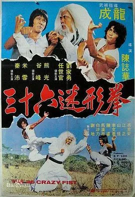 三十六迷形拳在线观看