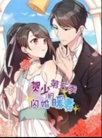 贺少的闪婚暖妻 动态漫第五季在线观看